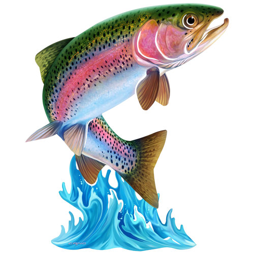 Highland Dunes Bunsley Jumping Trout 3D Wall Décor & Reviews Wayfair